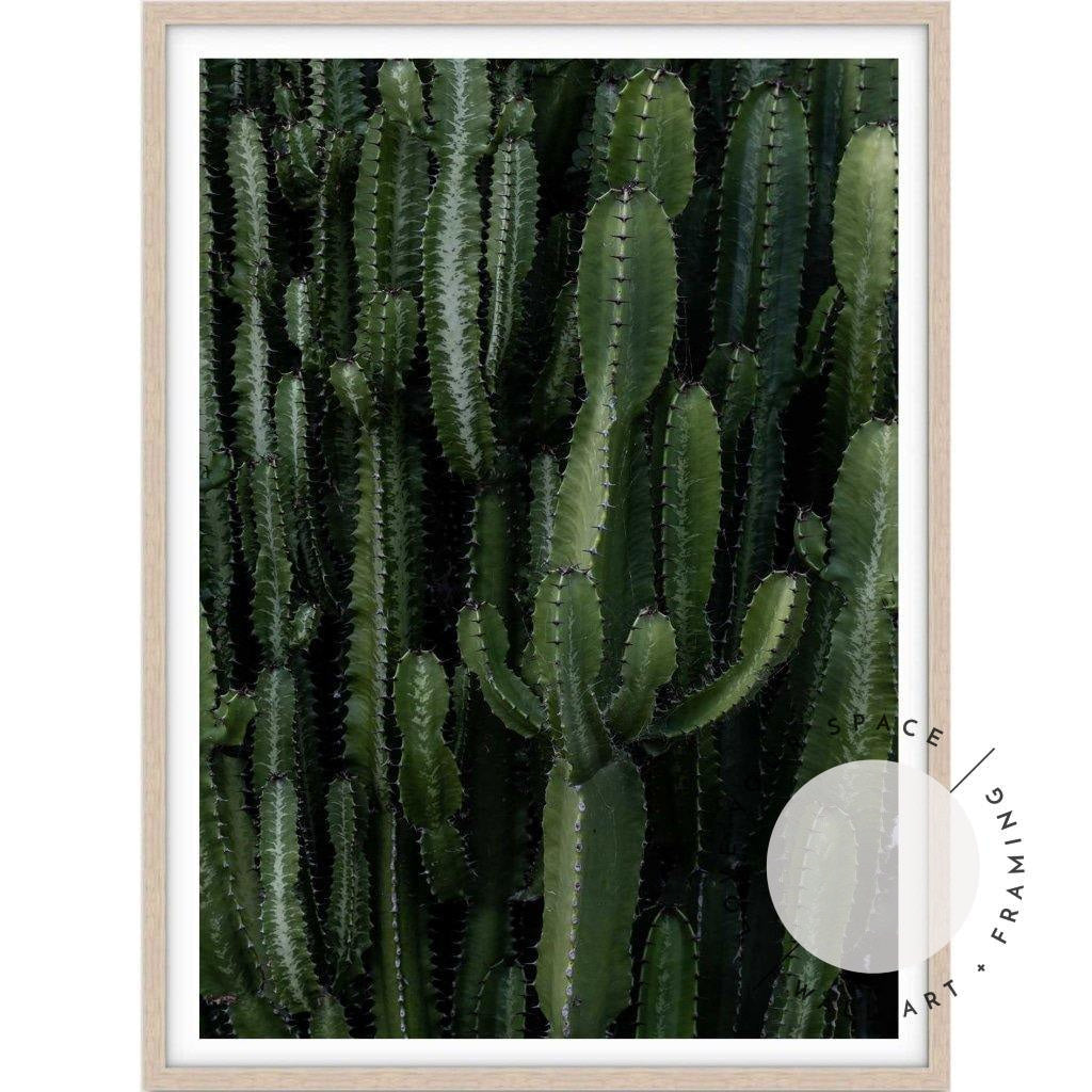 Crowded Cactus - Love Your Space