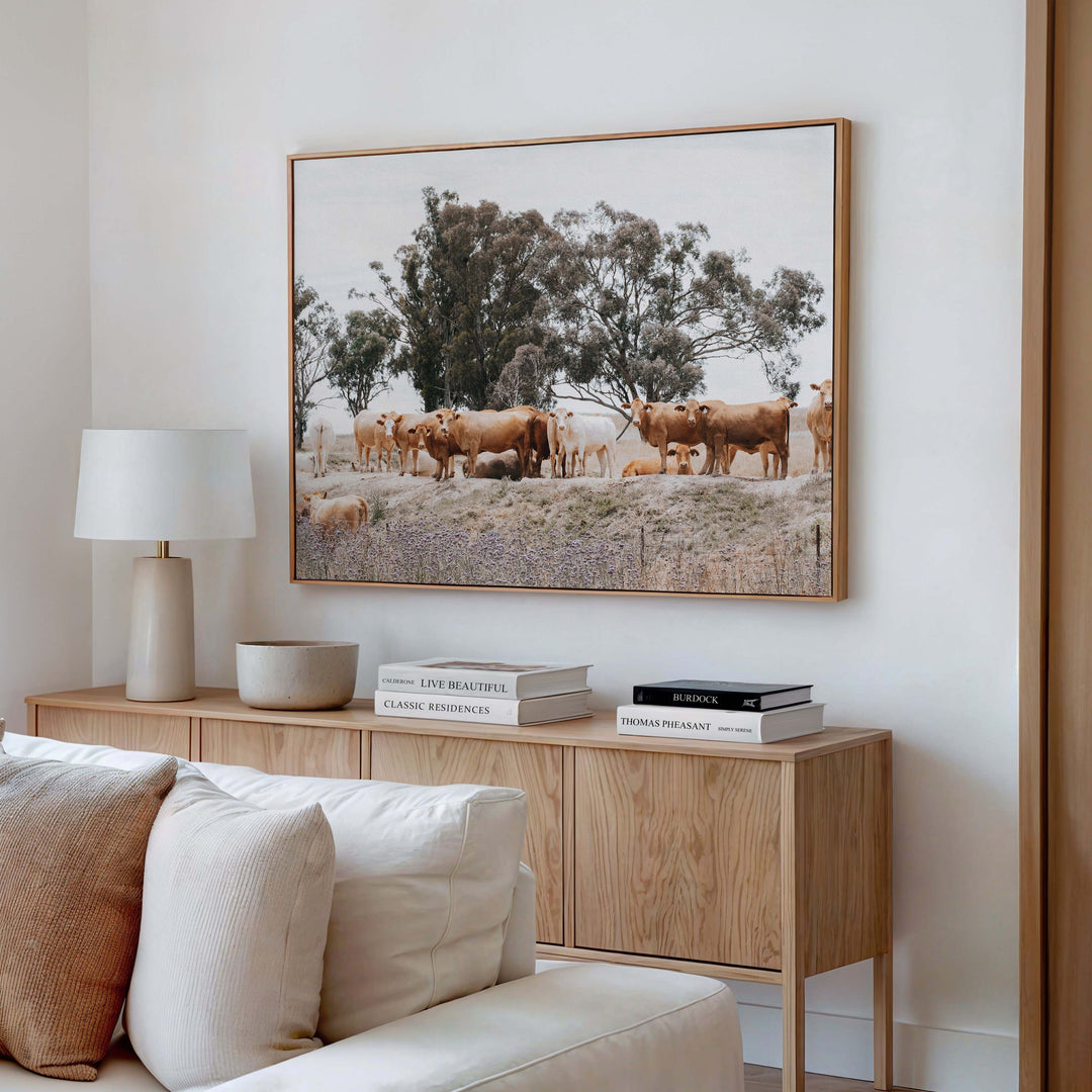 Country Cattle II
