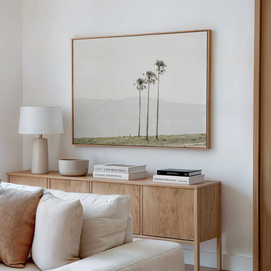Jamberoo Palms no.3