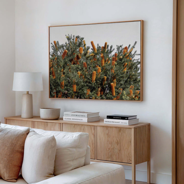 Wild Banksia II