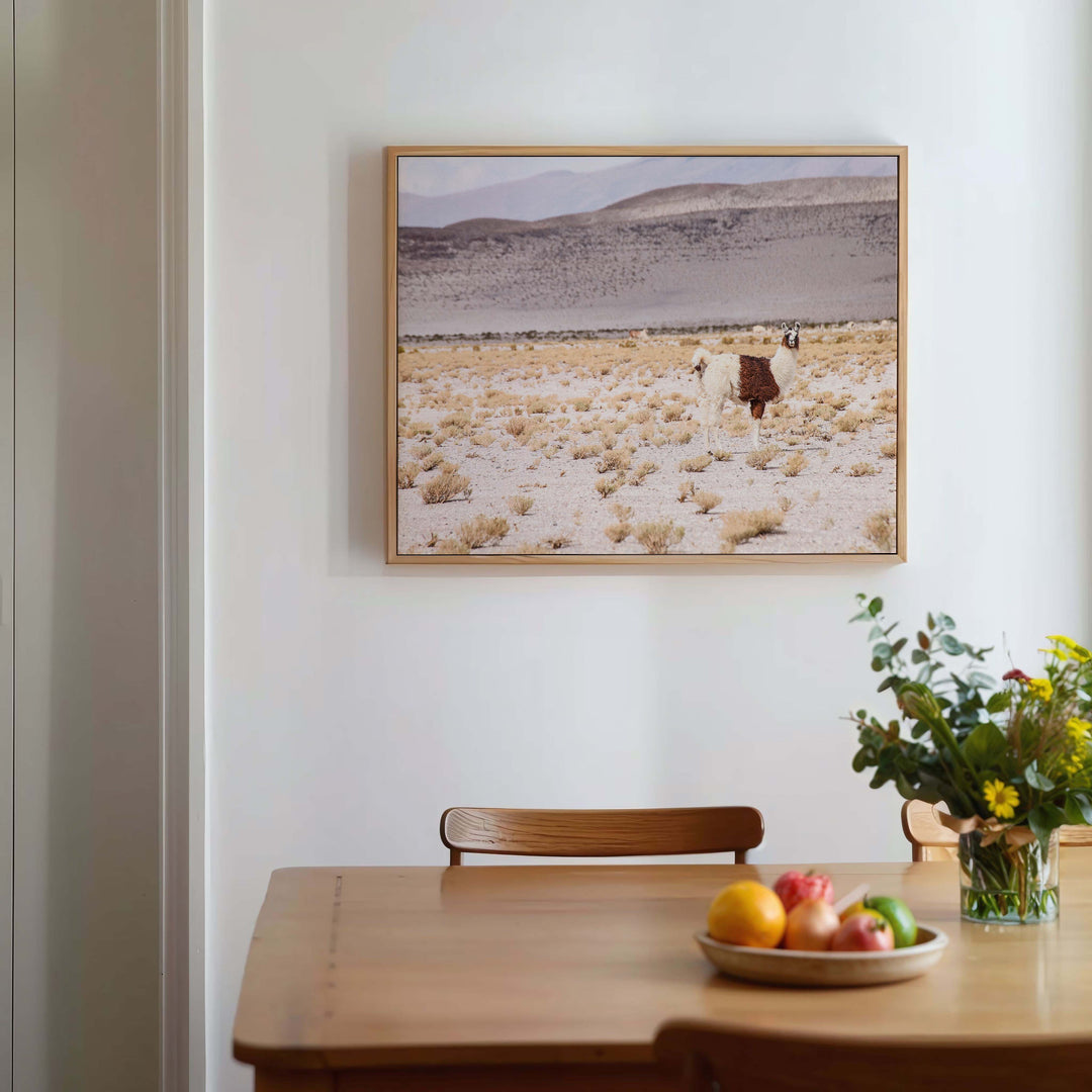 Desert I - Bolivia