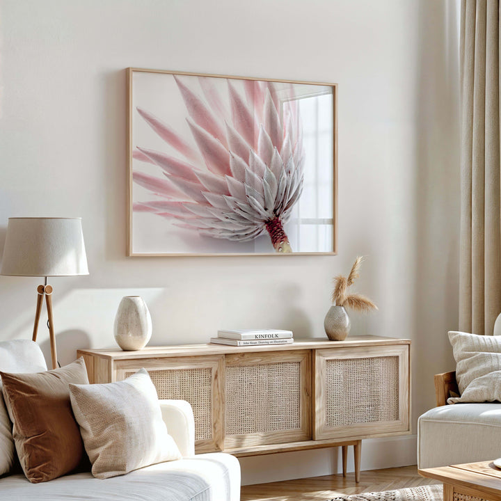 King Protea IV
