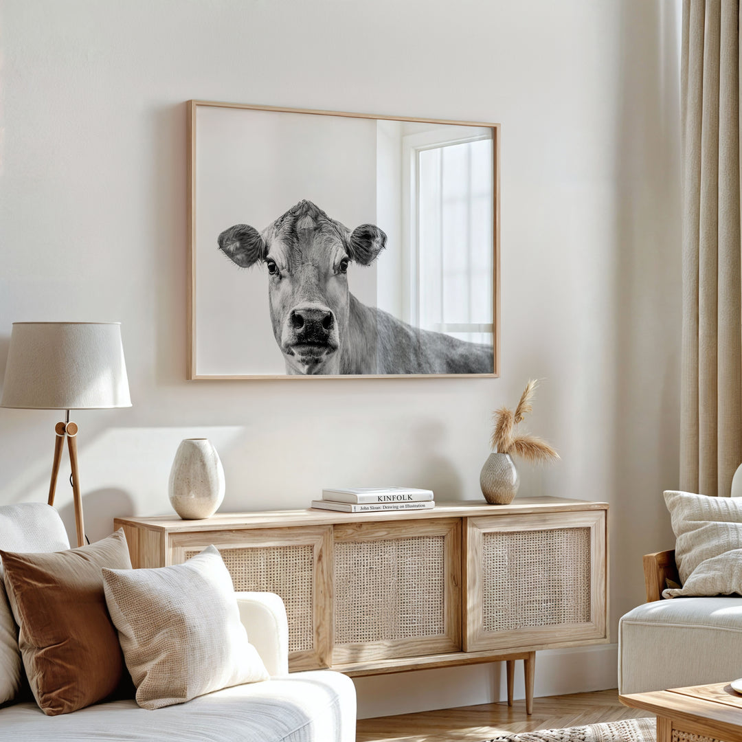 Jersey Cow B+W