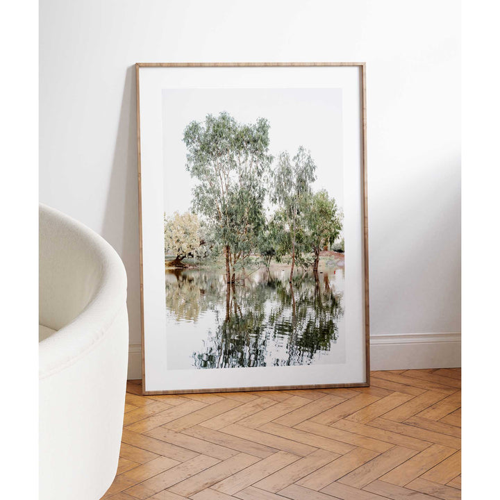 The Darling River Gum Trees I