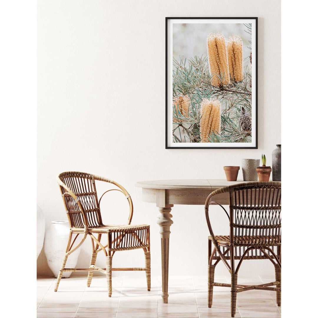 Banksia I - Frazer Beach