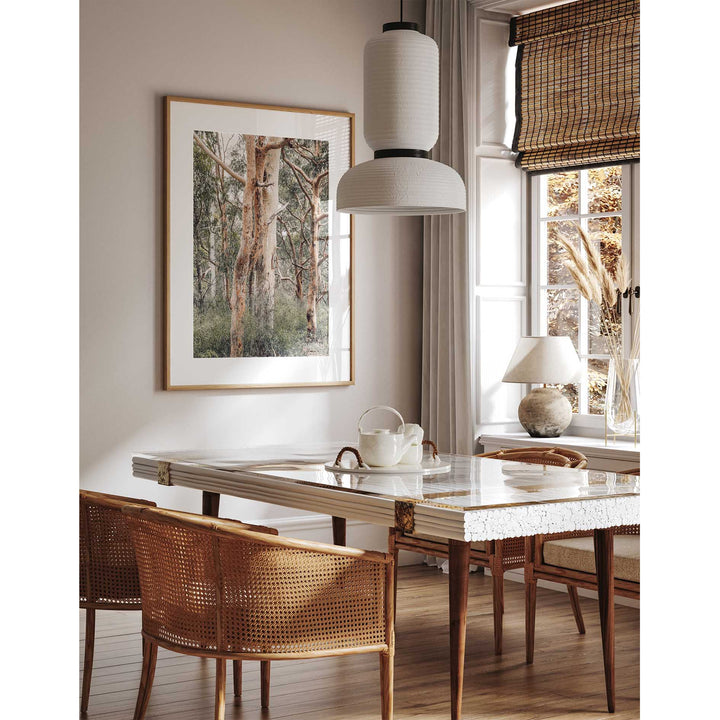 Red Gums - Port Stephens