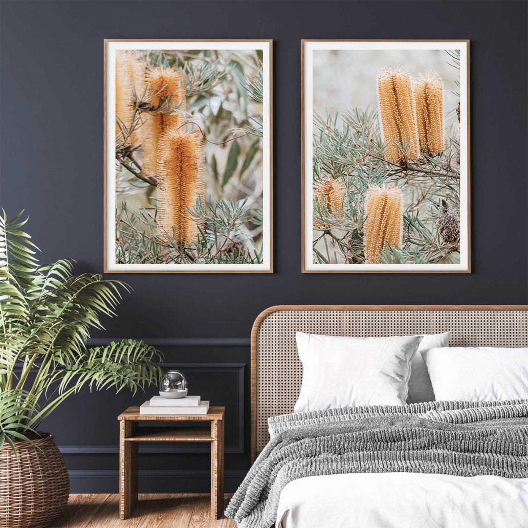 Banksia I - Frazer Beach