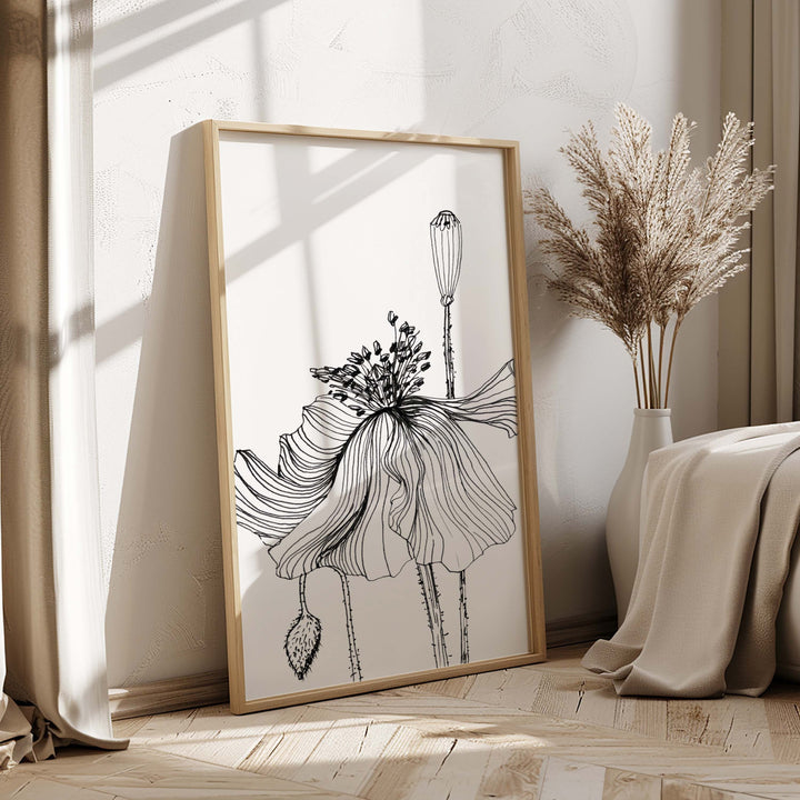 Poppy Sketch