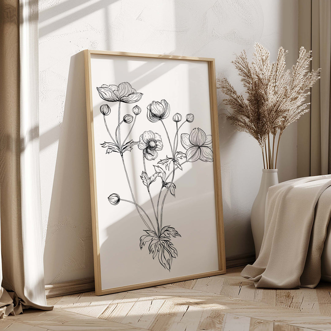 Anemone Sketch