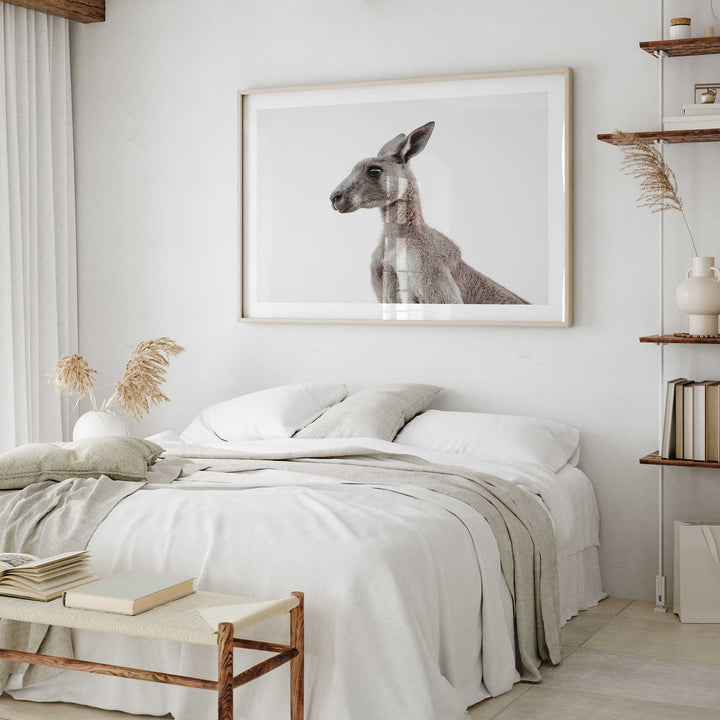 Grey Roo