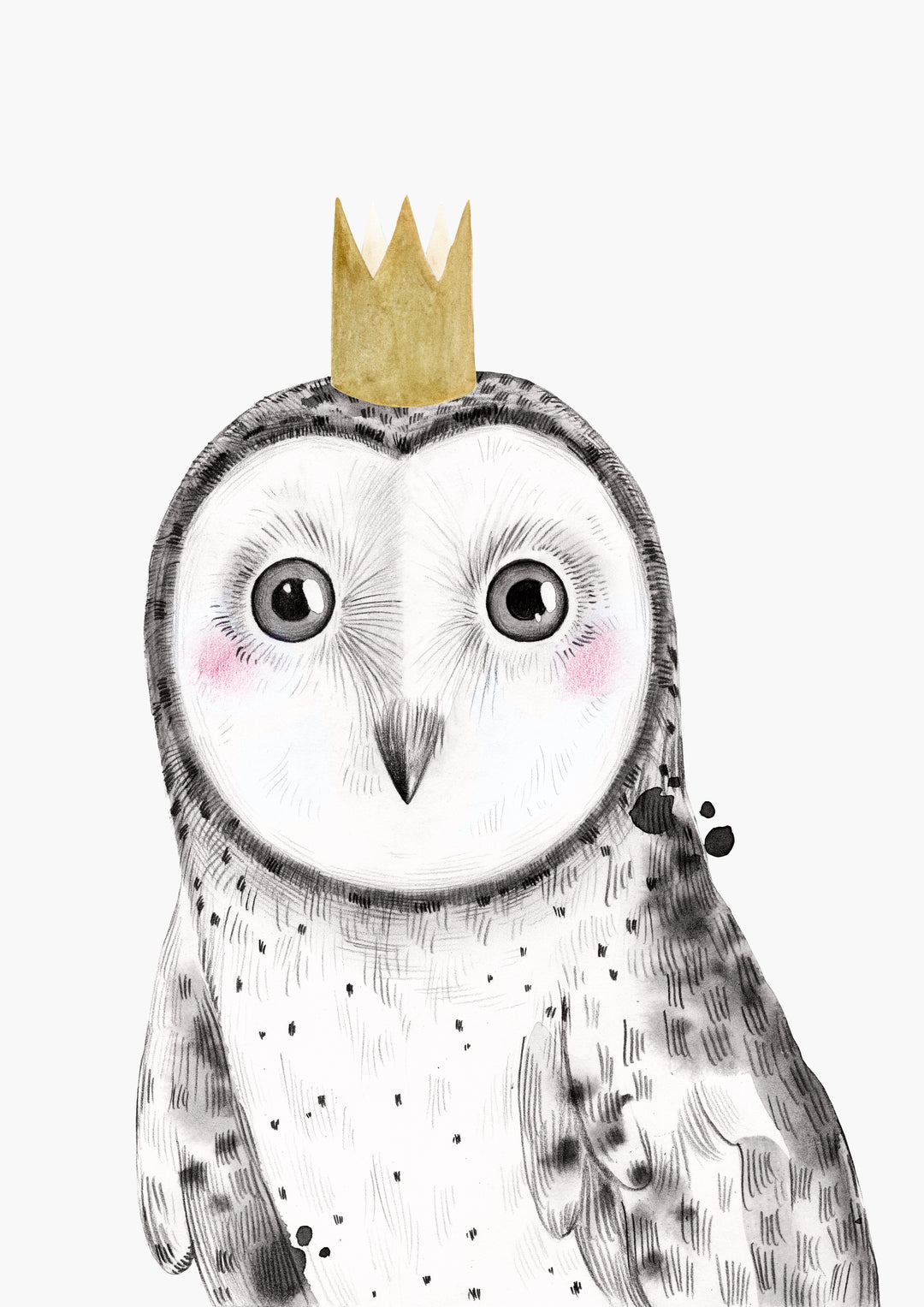 Baby Woodland Animal Sketches - Bundle