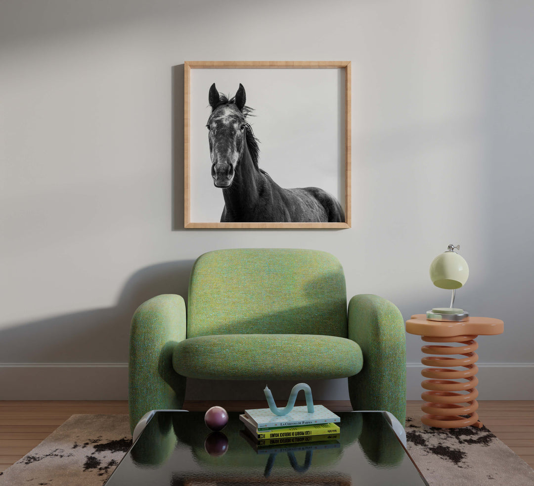 Horse I - SQUARE