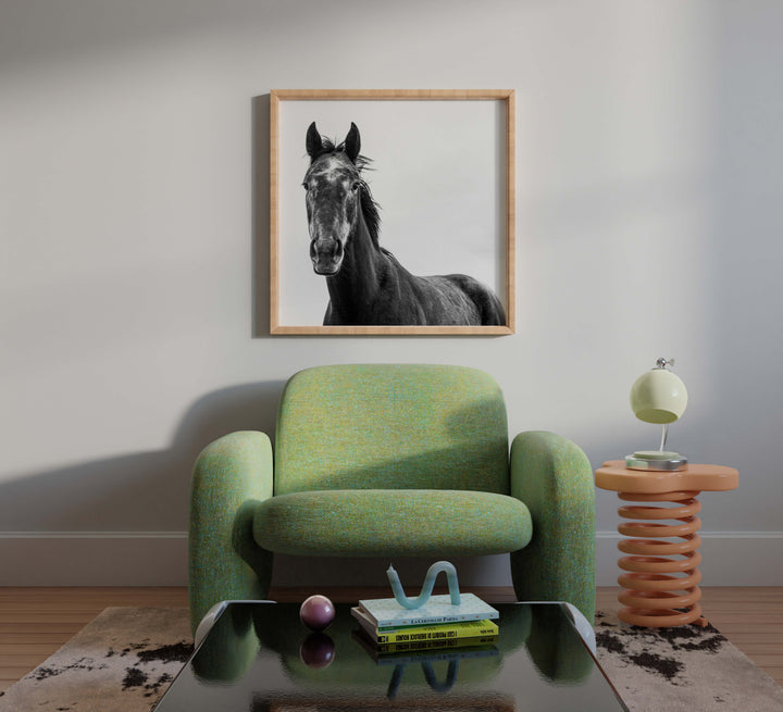 Horse I - SQUARE