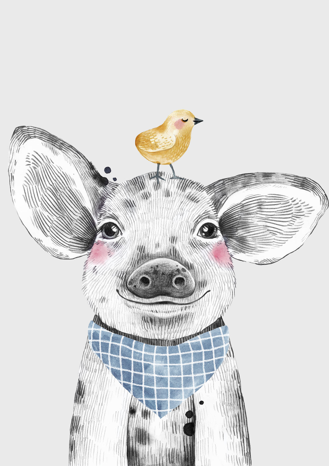Baby Farm Animal Sketches - Bundle