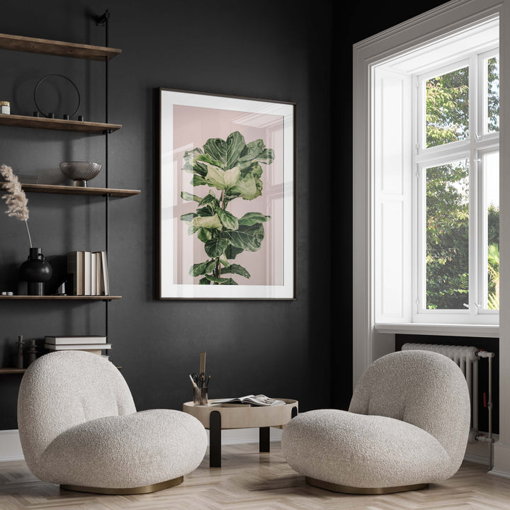 Fiddle Leaf On Pink
