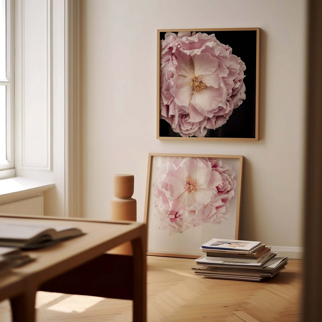 Full Bloom Peony II - SQUARE