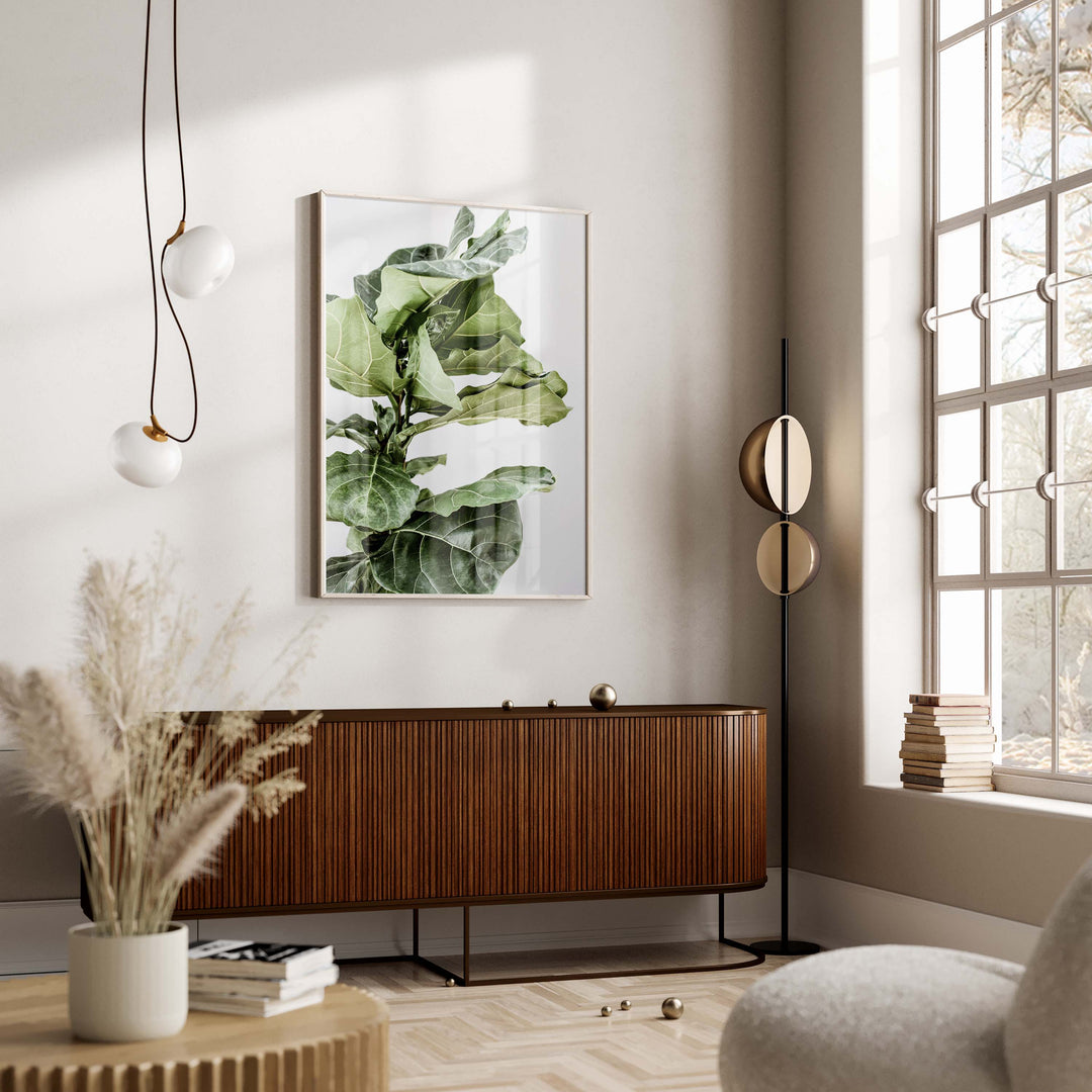 Fiddle Leaf no.1