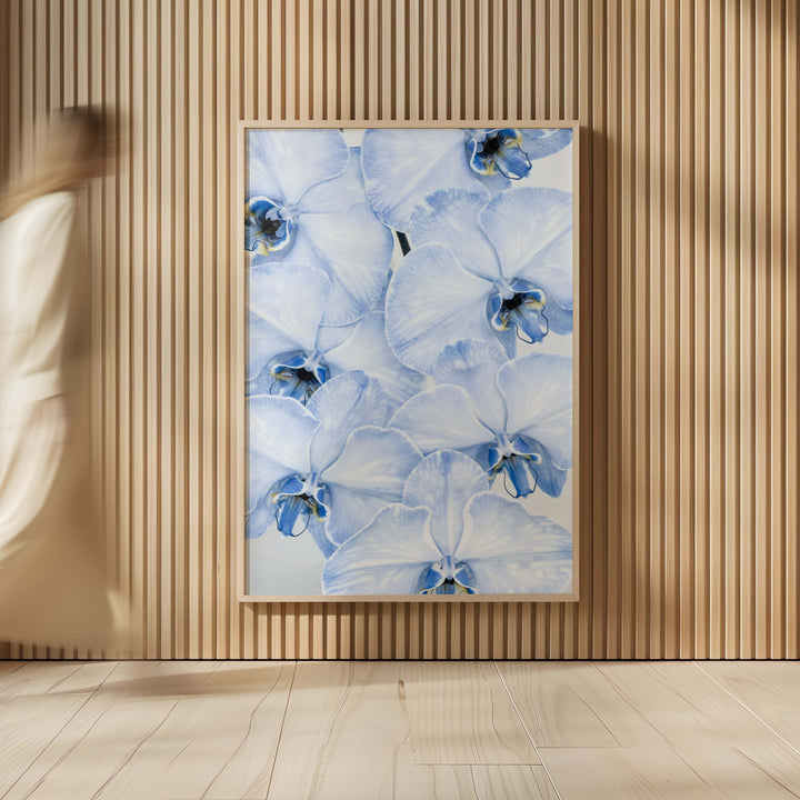 Blue Orchid no.1