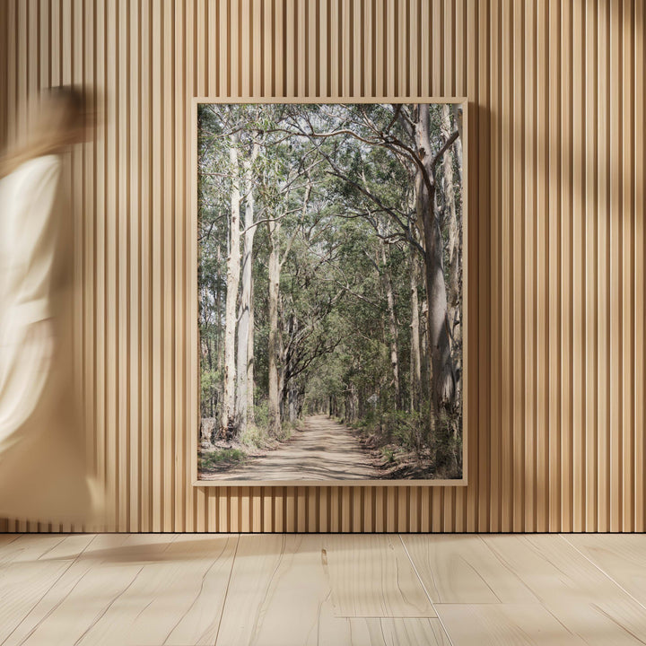 Gumtrees - The Hunter Valley