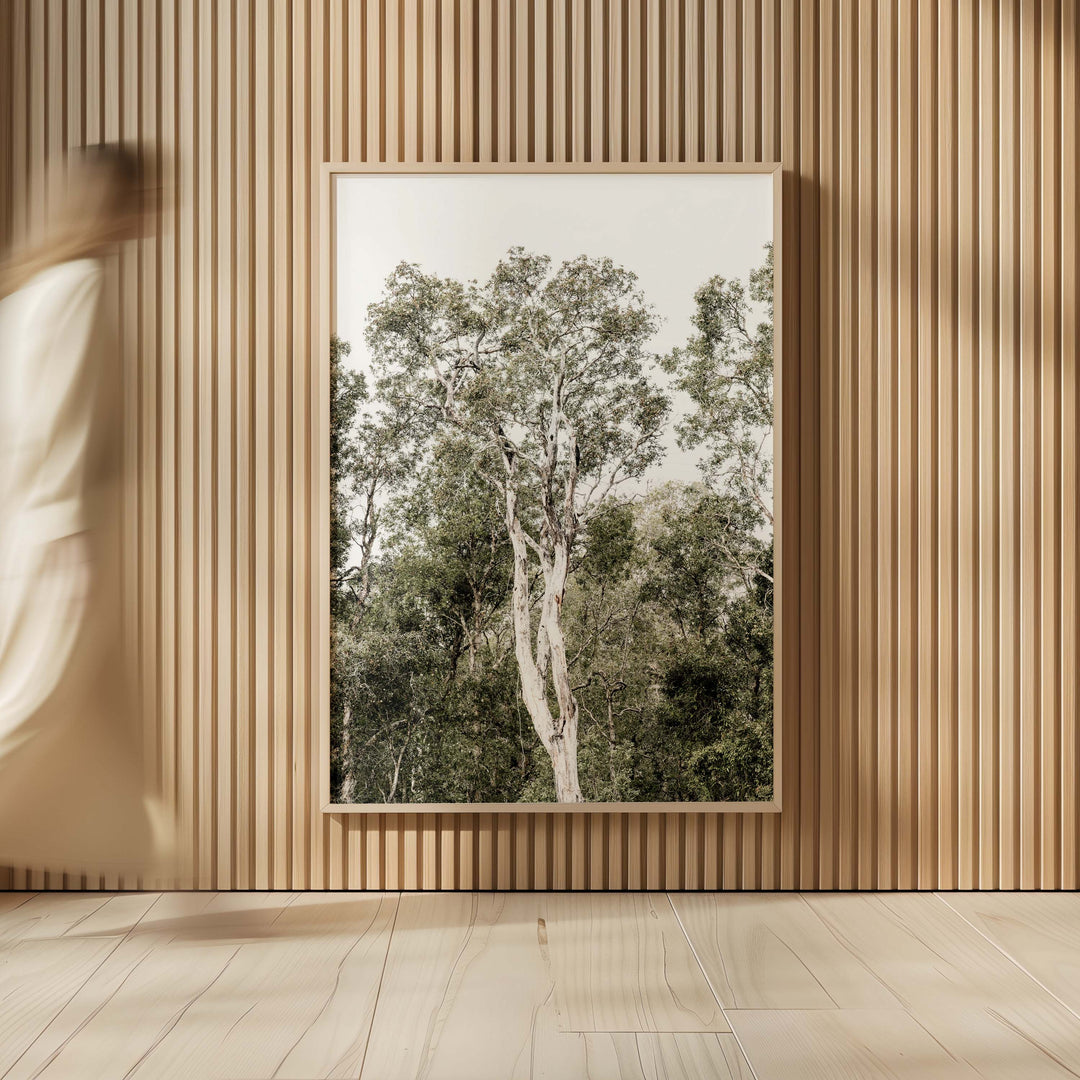 Tall Gums I