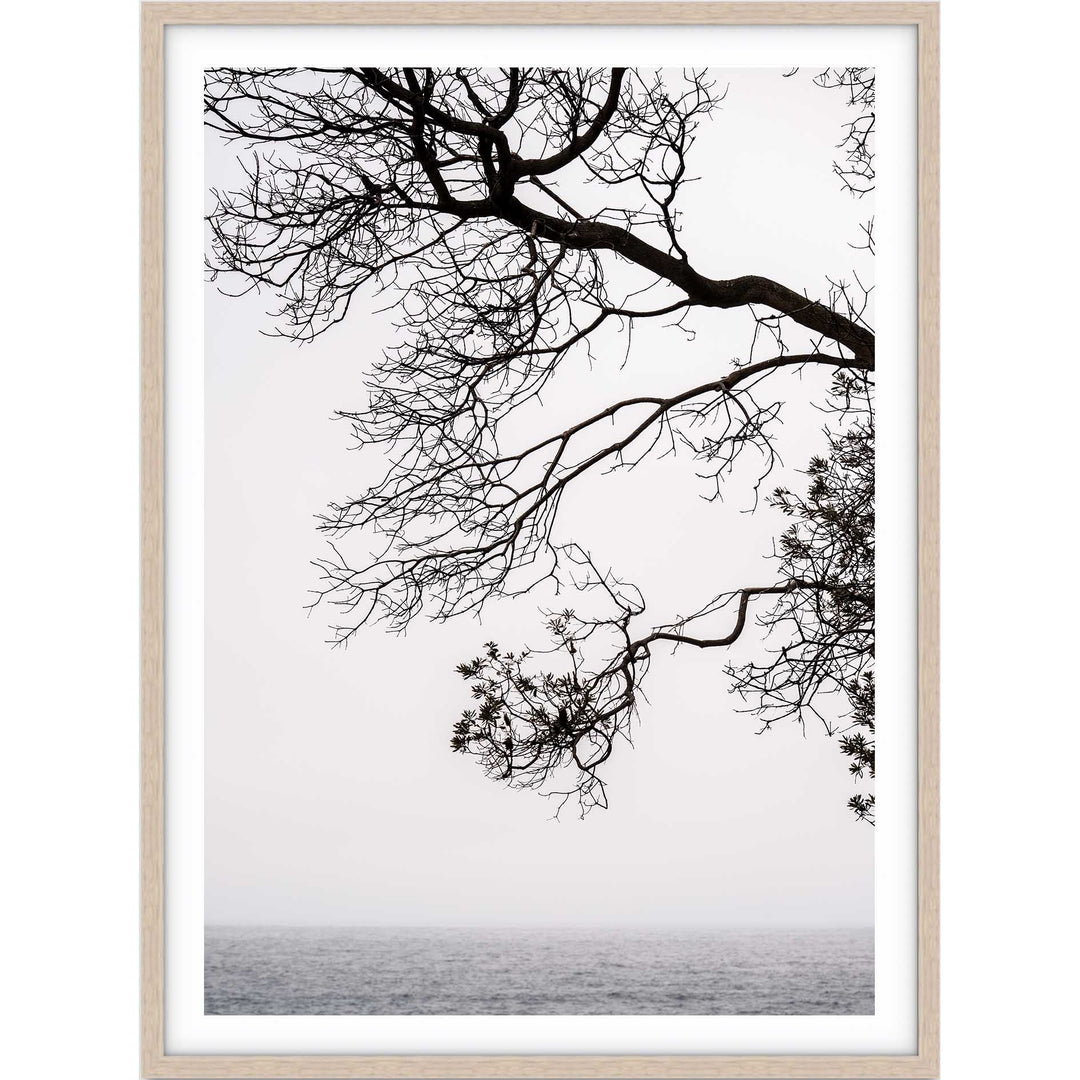 By The Sea - Bronte Beach