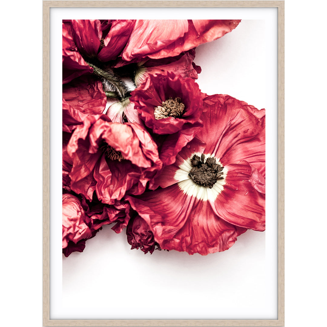 Poppy II