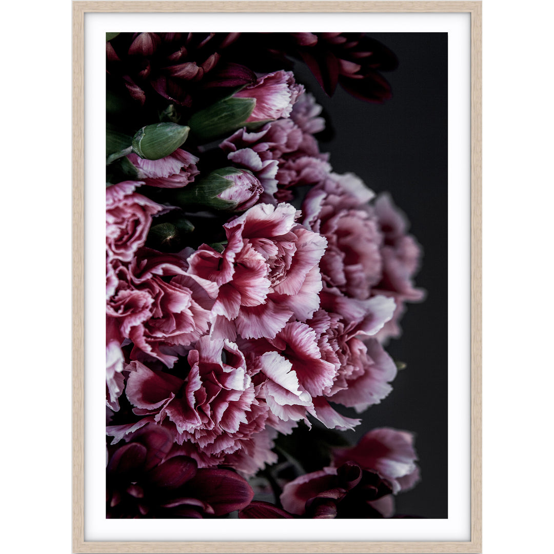Carnations I