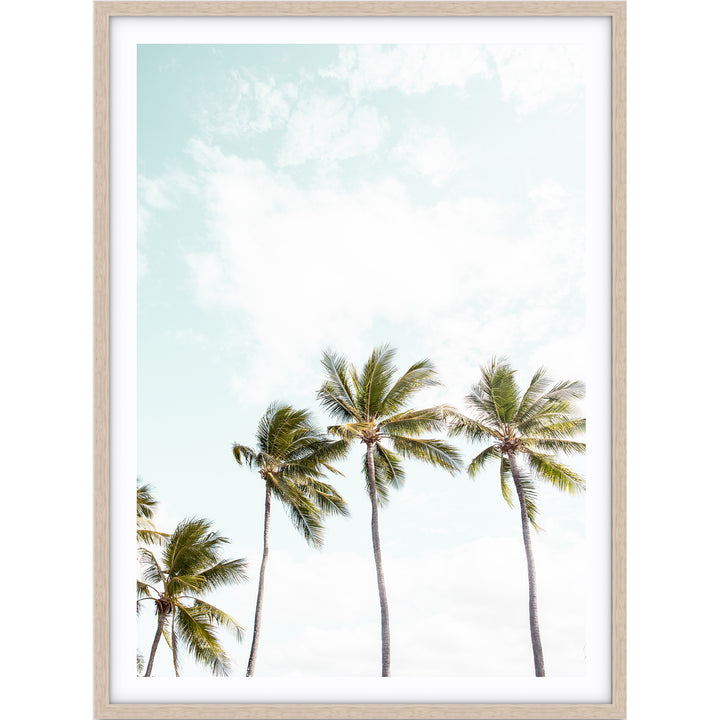Tropical Palms I