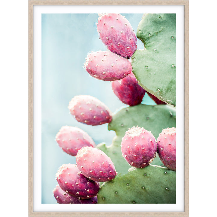 Prickly Pear