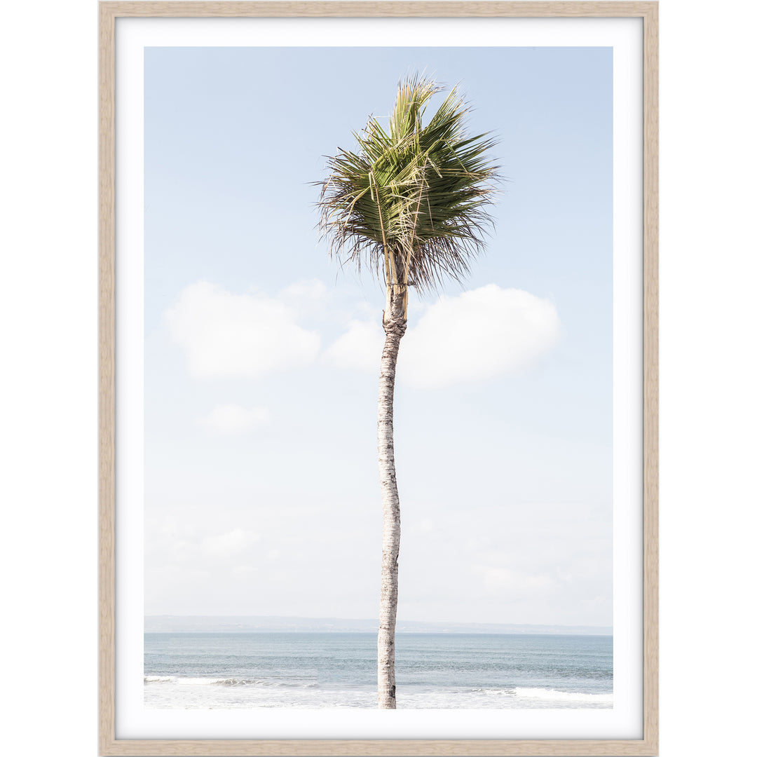 Bali Palm