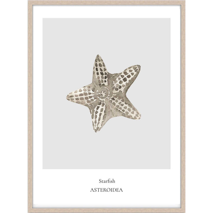Starfish