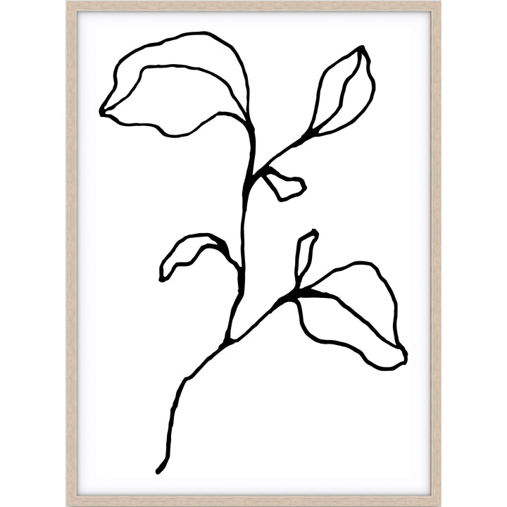 Floral Lines no.2