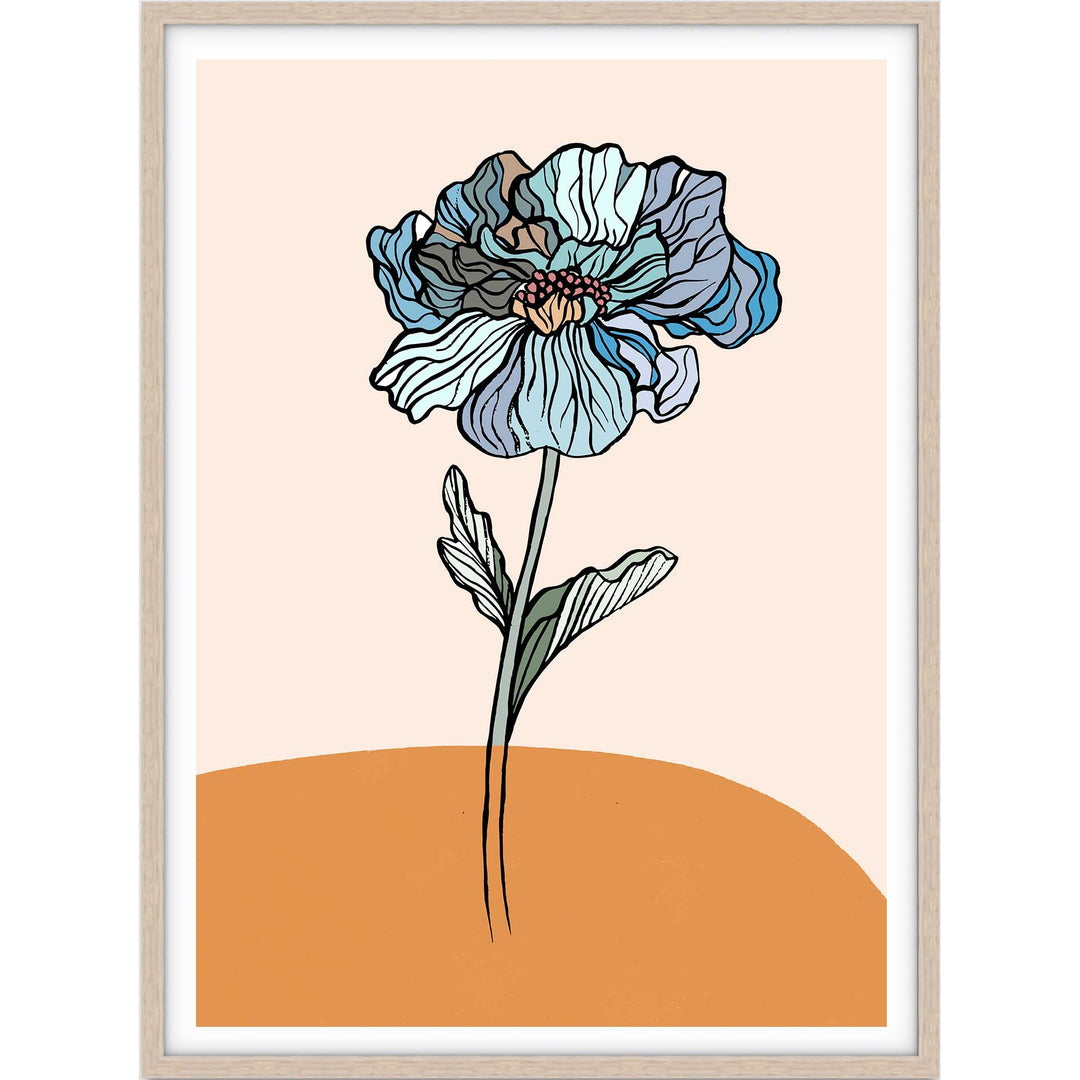 Coloured Rose II