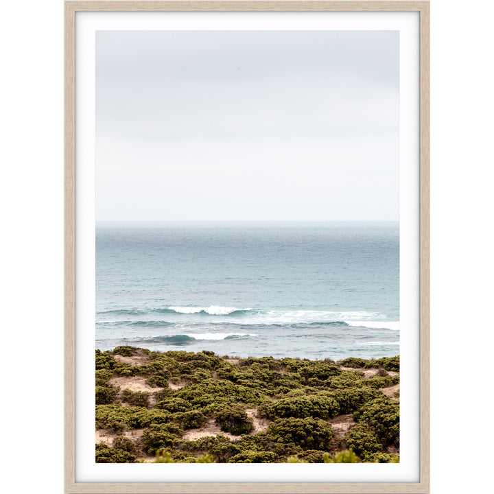 The Cove - Victoria