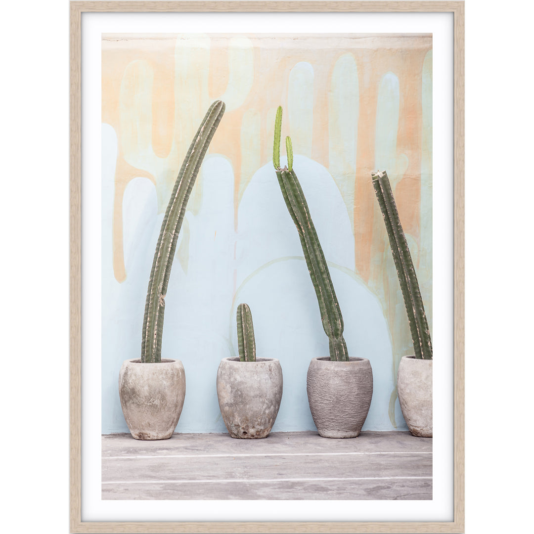 Bali Cactus no.2
