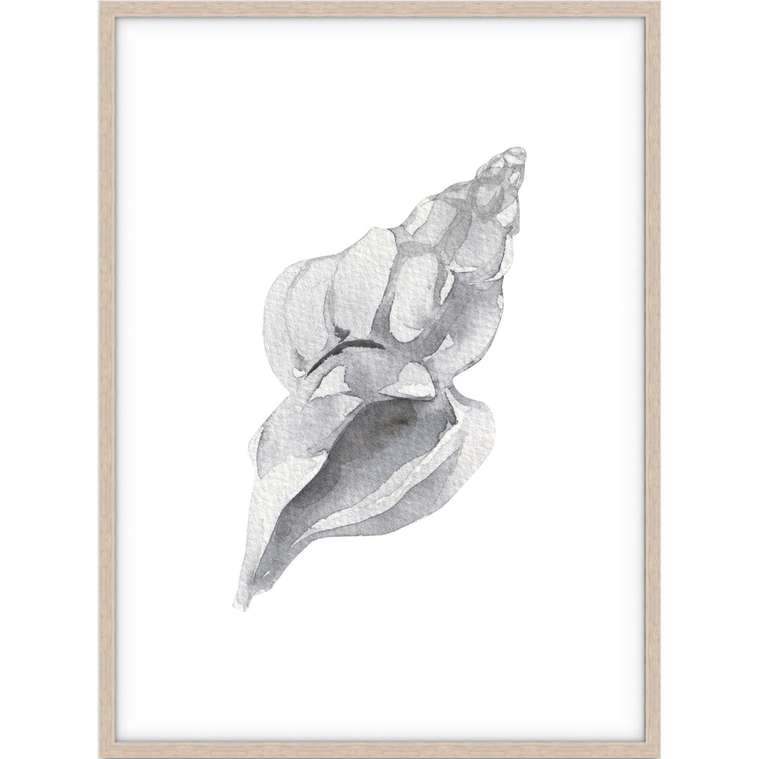 Shell no.1