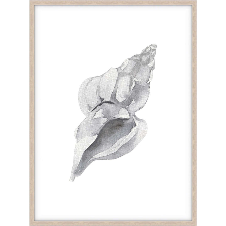 Shell no.1