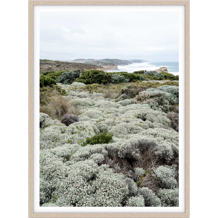 Great Ocean Road no.1