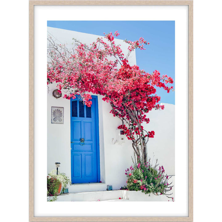 Greek Blooms