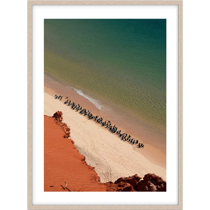 Shark Bay - Western Australia