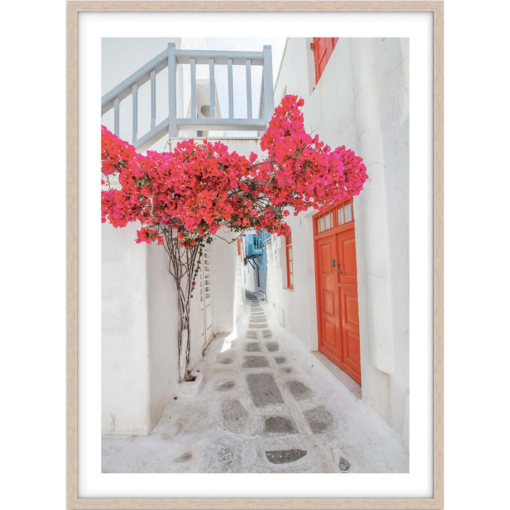 Citrus Doors
