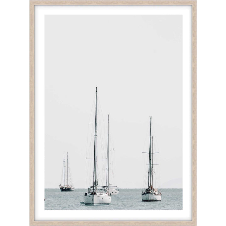 Sailing Magnetic Island