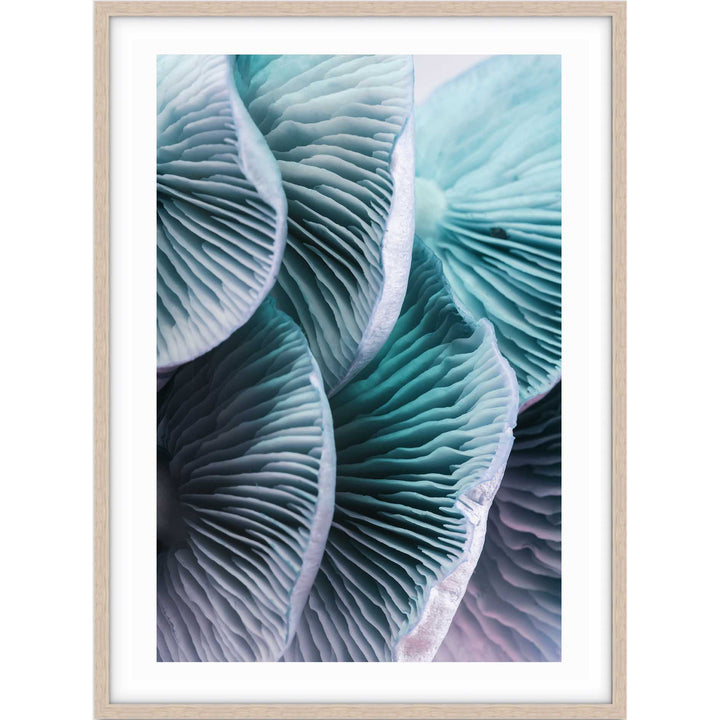 Blue Mushrooms