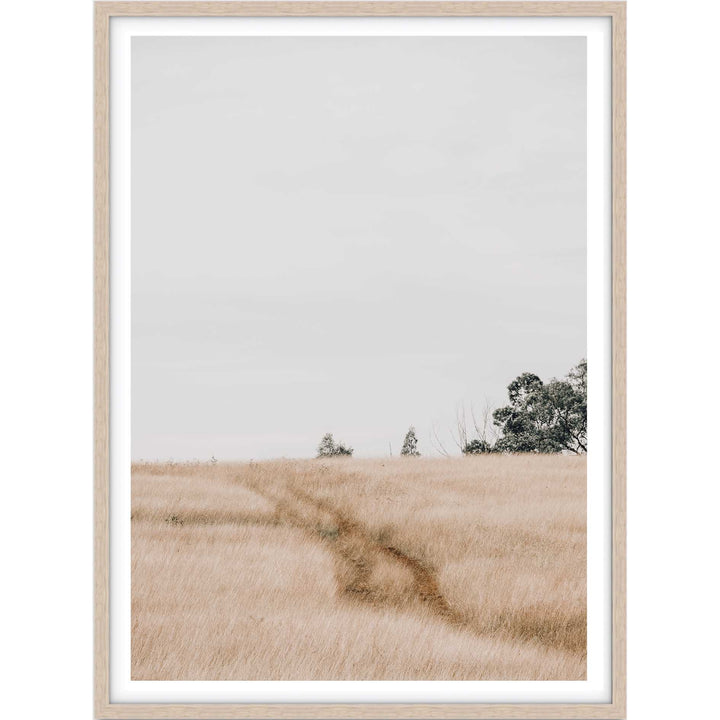 Traces