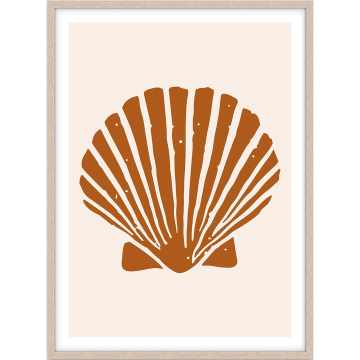 Terracotta Shell no.2