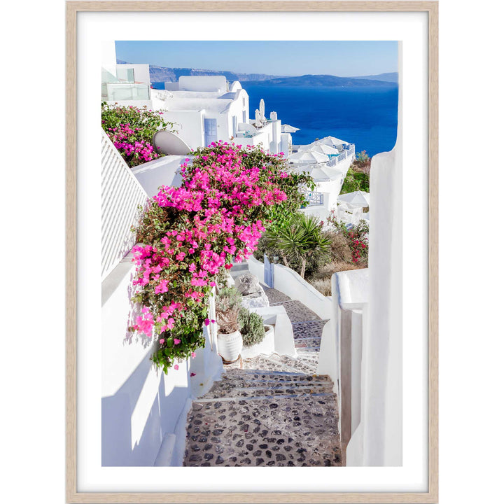 Santorini Wildflowers