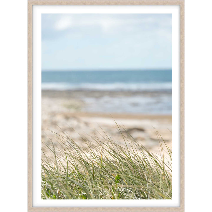 Coastal Breeze