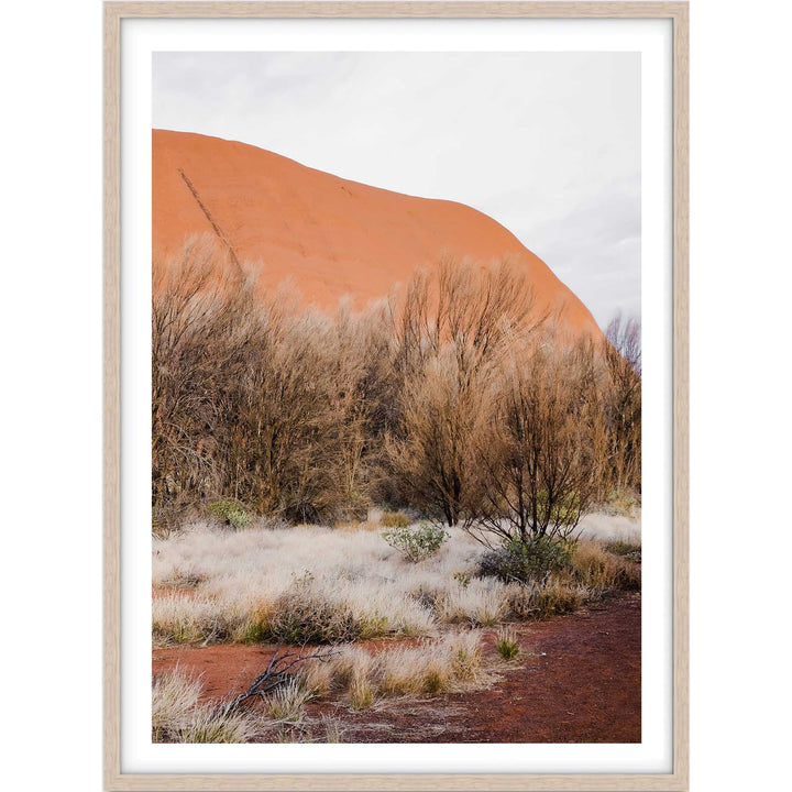 Red Dirt Uluru IV - Portrait