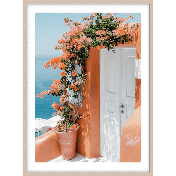 Cliffside Peach