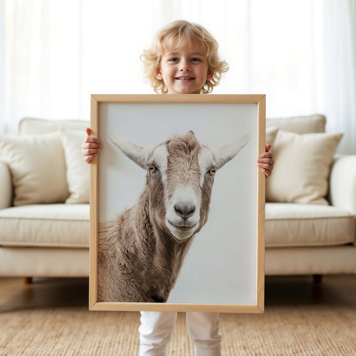 Mr Goat